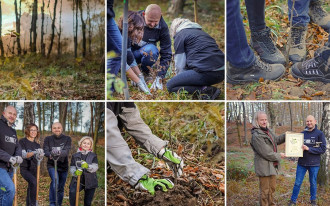 CREATON Polska sadzi drzewa w okolicach Krakowa