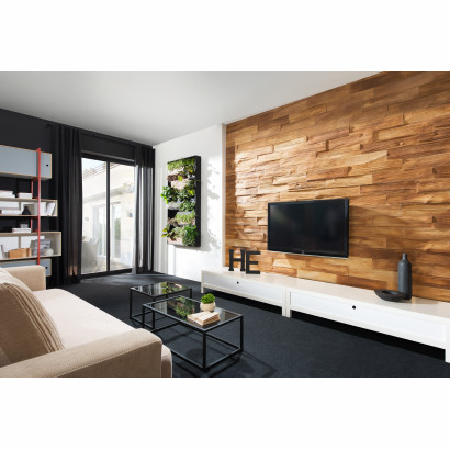 Kamień elewacyjny TIMBER 1