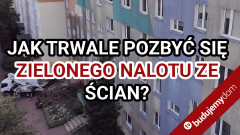 Jak usunąć zielony nalot z elewacji?