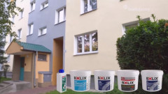 Jak trwale pozbyć się zielonego nalotu ze ścian?
