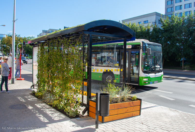 Zielony przystanek w Białymstoku