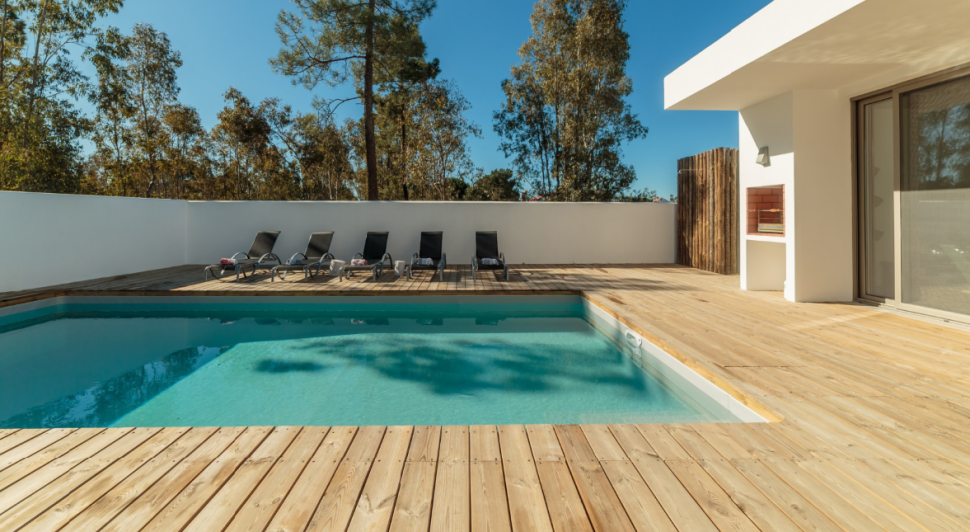 Taras Modrzew Syberyjski w ofercie Gdańskich Składów Drzewnych