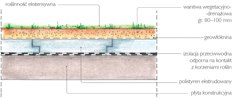 Schemat: Układ warstw dachu z roślinnością ekstensywną