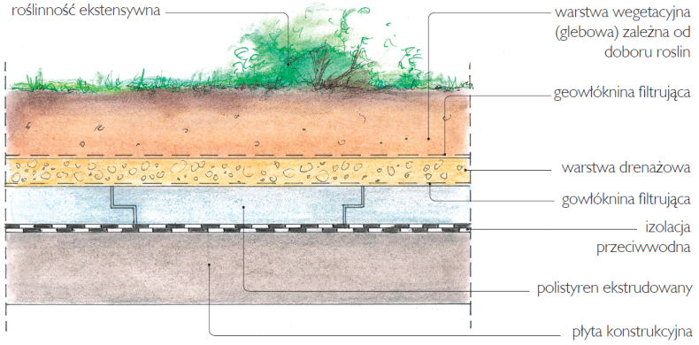 Schemat: Układ warstw dachu z roślinnością intensywną