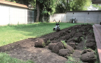 Zakładanie trawnika - poradnik dla początkujących