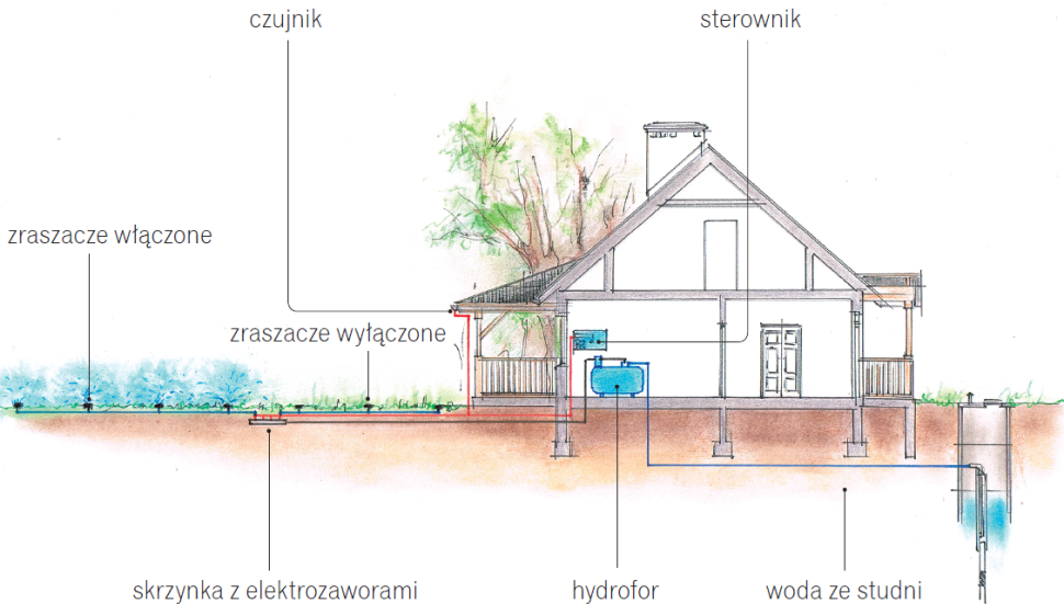 Schemat systemu automatycznego nawadniania