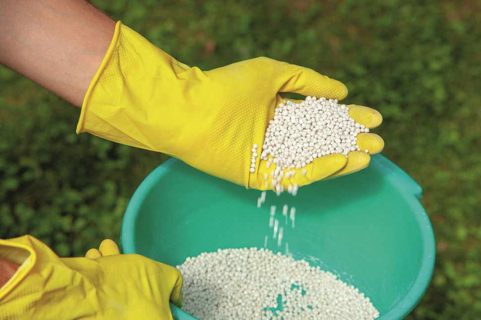 Granulat do nawożenia trawnika