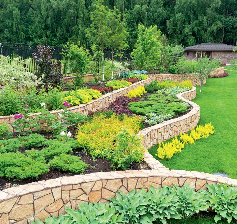 Murki ogrodowe dzielące rośliny na strefy