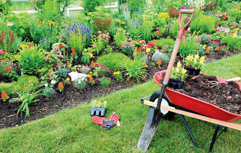 Rośliny i narzędzia ogrodnicze