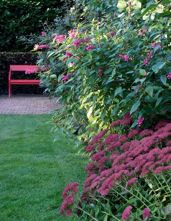 Rośliny ogrodowe (różowo-fioletowe)