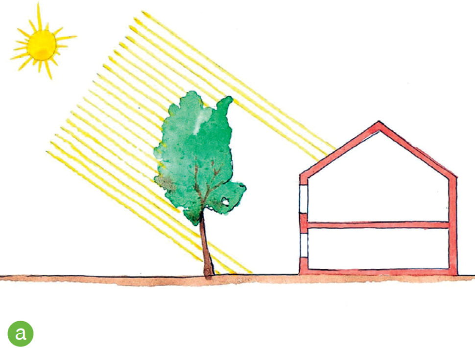 Nasłoneczniona elewacja: lato