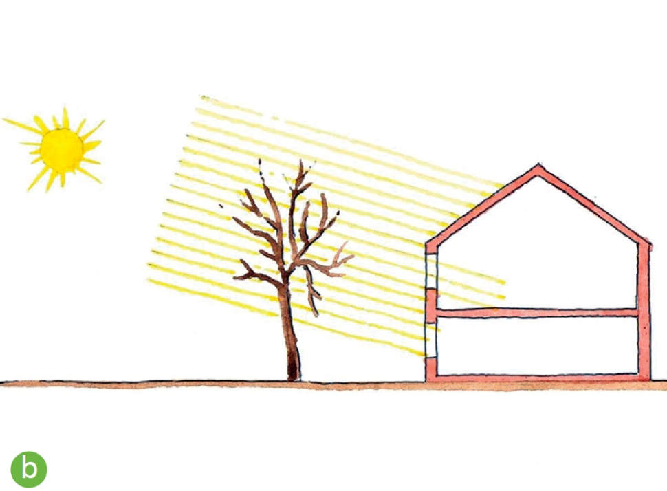 Nasłoneczniona elewacja: zima