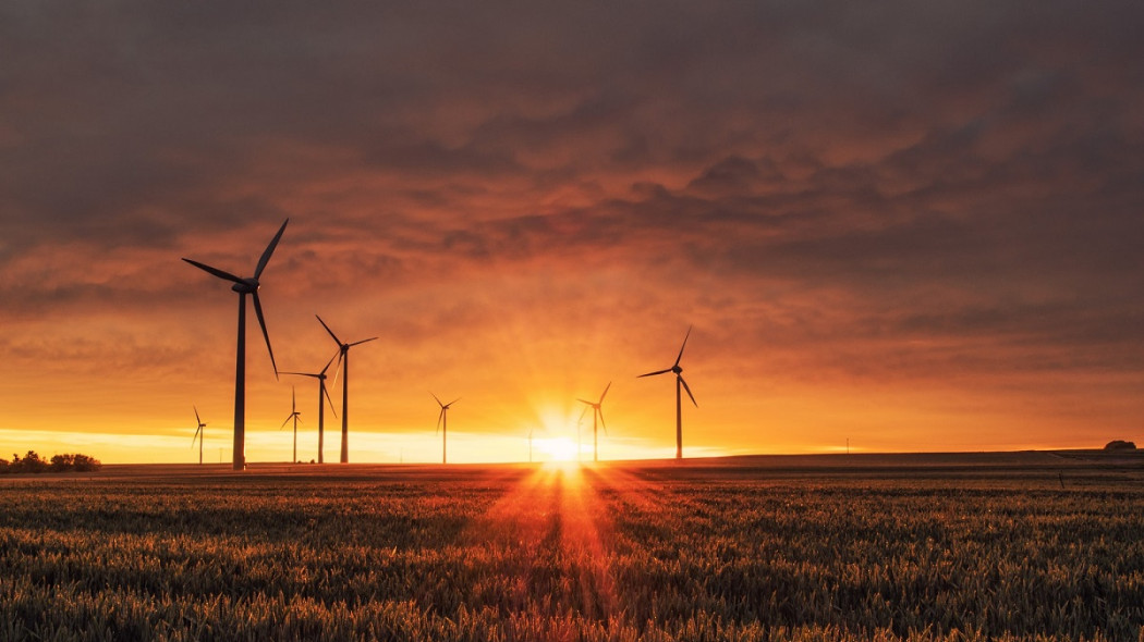 CEMEX Polska stawia na odnawialne źródła energii w walce ze zmianami klimatu