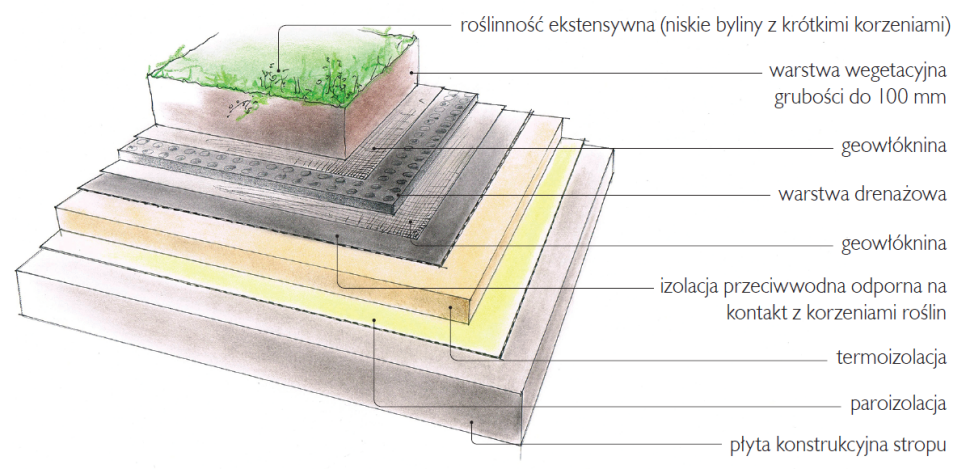 Schemat: Dach z roślinnością o niewielkich wymaganiach i płytkim systemie korzeniowym.