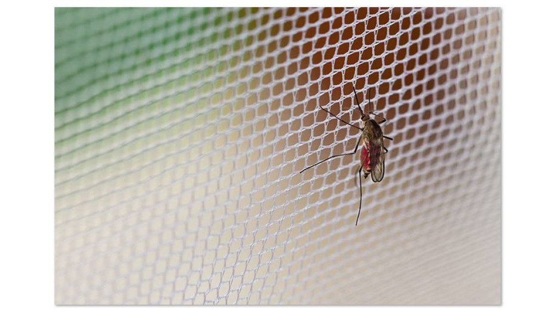 Konserwacja moskitier. Wydłuż ich żywotność