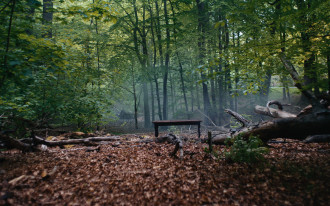 Grupa VELUX zneutralizuje całkowity historyczny ślad węglowy firmy