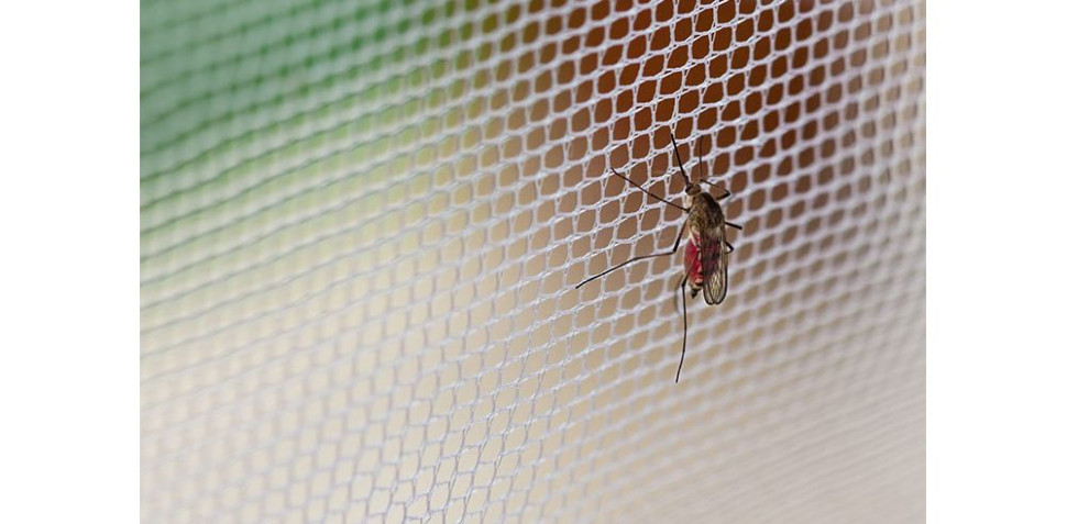 Największą zaletą moskitier jest fakt, że są całkowicie bezpieczne dla zdrowia