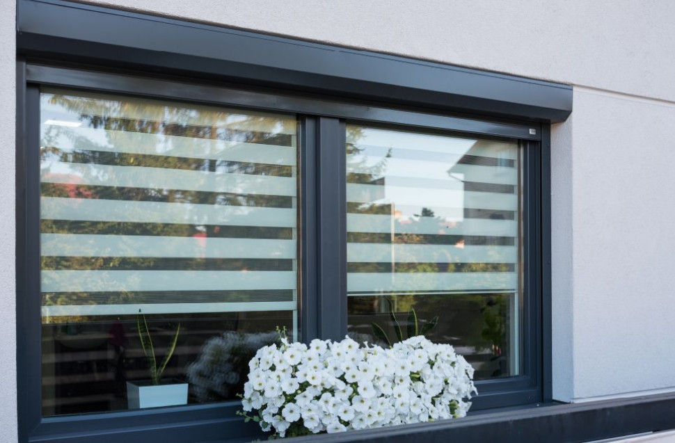 Rolety zewnętrzne ochronią nas przed komarami