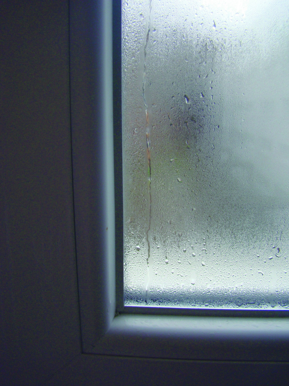 Zaparowana szyba okienna