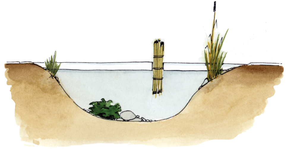 Oczko wodne - rys. poglądowy