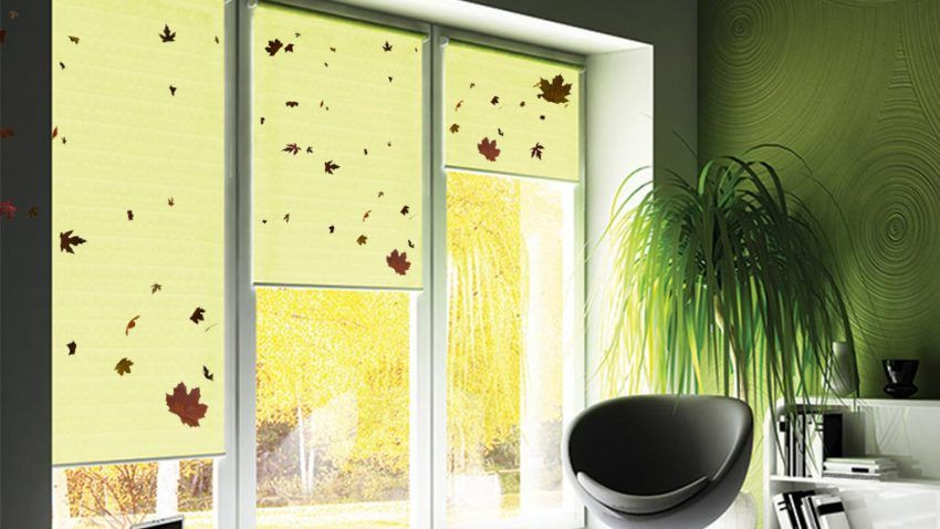 Rolety z wzorem liści