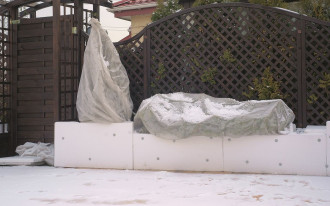 Co zrobić, by rośliny bezpiecznie przezimowały do wiosny?