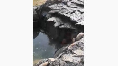 Oczko wodne. Kaskady z kamieni