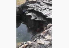 Oczko wodne. Kaskady z kamieni