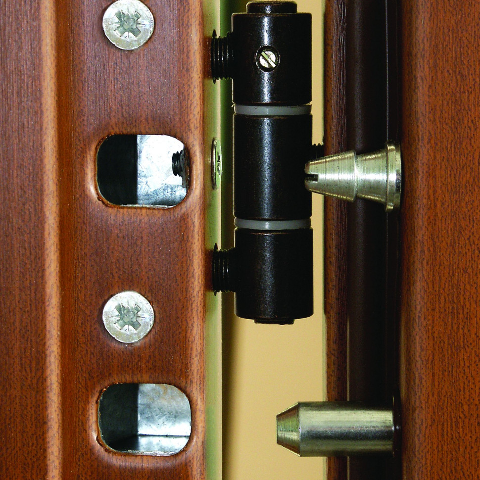 Zawias w drzwiach wejściowych Fot. Gerda