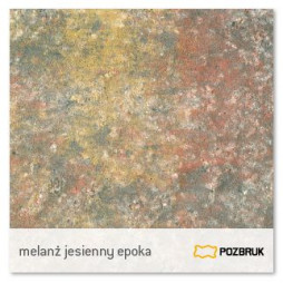 bruk 6 - melanż jesienny