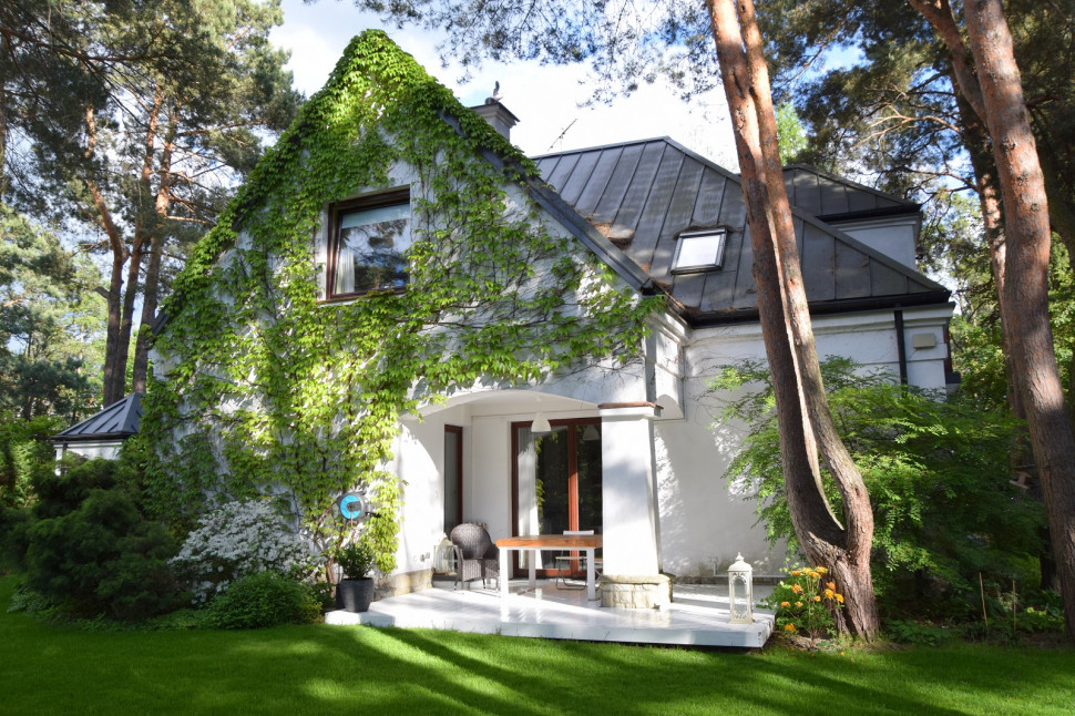 Strefa wypoczynkowa białego tarasu, otwarta na las sosnowy