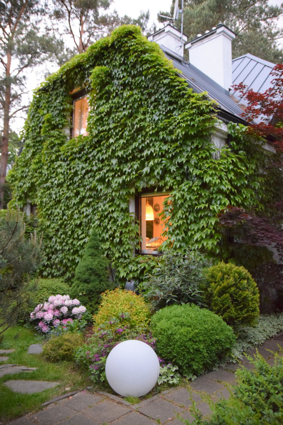 Pnącza na elewacji ściany frontowej