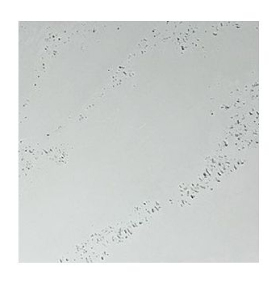 LUXUM BETON ARCHITEKTONICZNY PREMIUM SZARY JASNY CEMENTOWY 90x55 gr. 1,5 cm