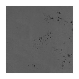 LUXUM BETON ARCHITEKTONICZNY PREMIUM SZARY CIEMNY 60x30 gr. 1 cm