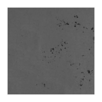 LUXUM BETON ARCHITEKTONICZNY PREMIUM SZARY CIEMNY 60x30 gr. 1 cm