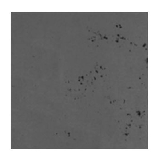 LUXUM BETON ARCHITEKTONICZNY PREMIUM SZARY CIEMNY 60x30 gr. 1 cm