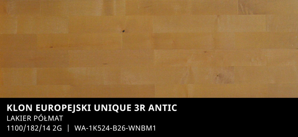 Klon europejski Unique 3R Antic