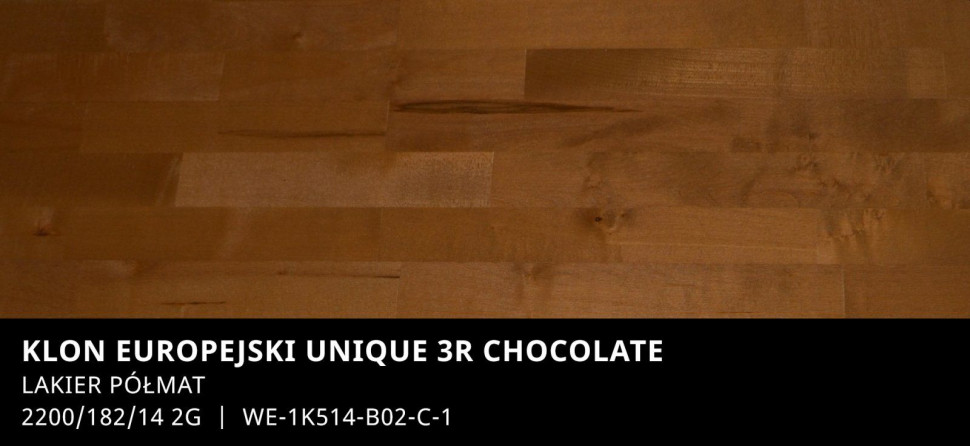 Klon europejski Unique 3R Chocolate