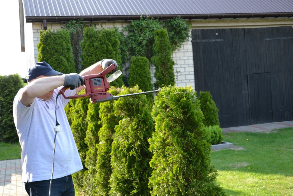 Elektryczne nożyce do pielęgnacji ogrodu