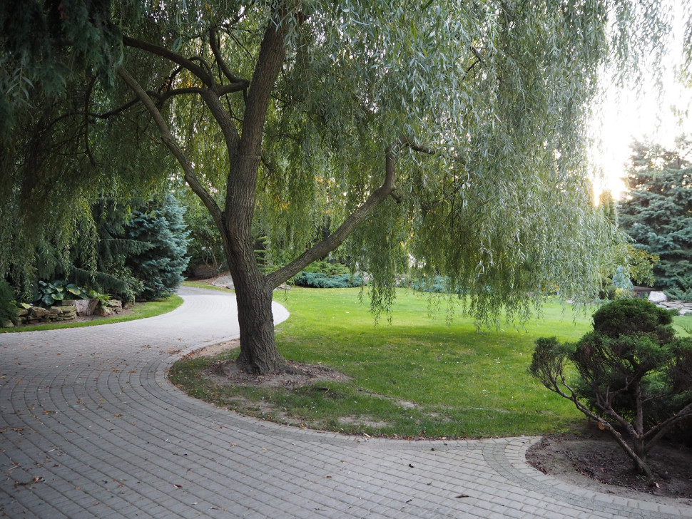 Wzdłuż tej nawierzchni biegną pasy z kostki imitującej granit.