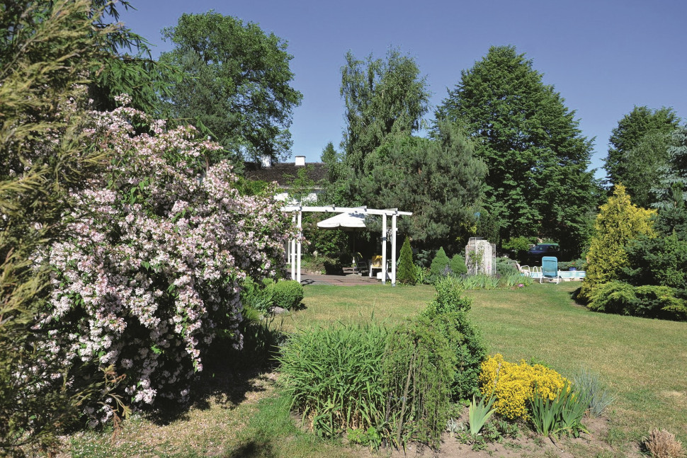 Widok na strefę wypoczynkową z głębi ogrodu