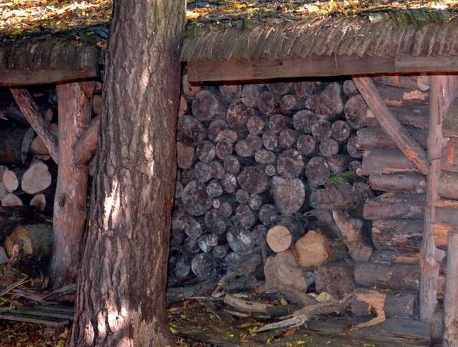 Drewutnia jest przewiewna, dlatego nawet grube kawałki drewna dobrze wysychają