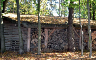 Drewutnia połączona z garażem