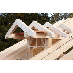 Konstrukcje ciesielskie