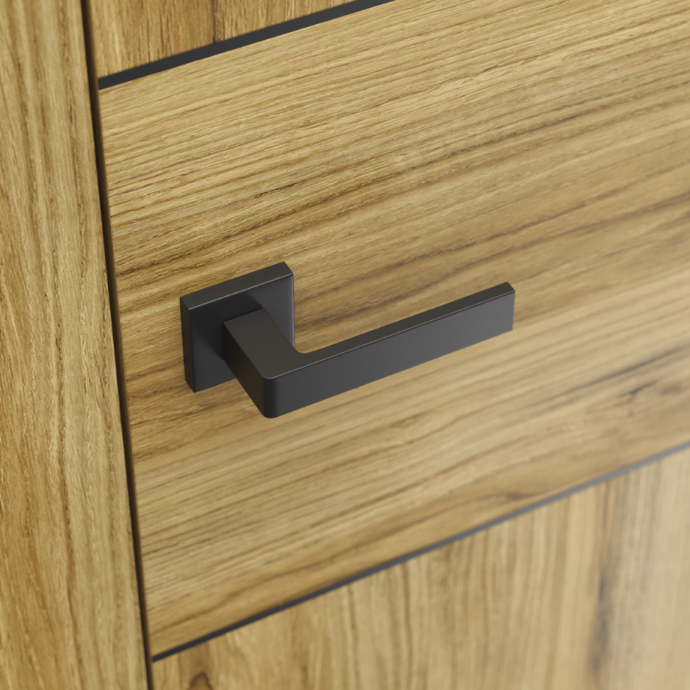 Klamka RUMBA w drzwiach Porta LEVEL. fot. Porta KMI Poland