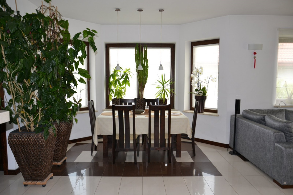 Ryzalit rozciągnięto wszerz, żeby w jadalni ustawić stół w poprzek i usprawnić komunikację wokół niego