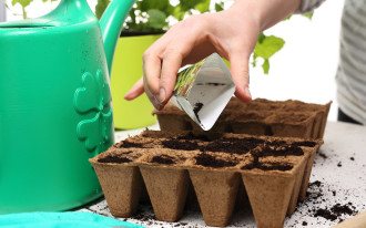 Jak prawidłowo siać nasiona w ogrodzie?