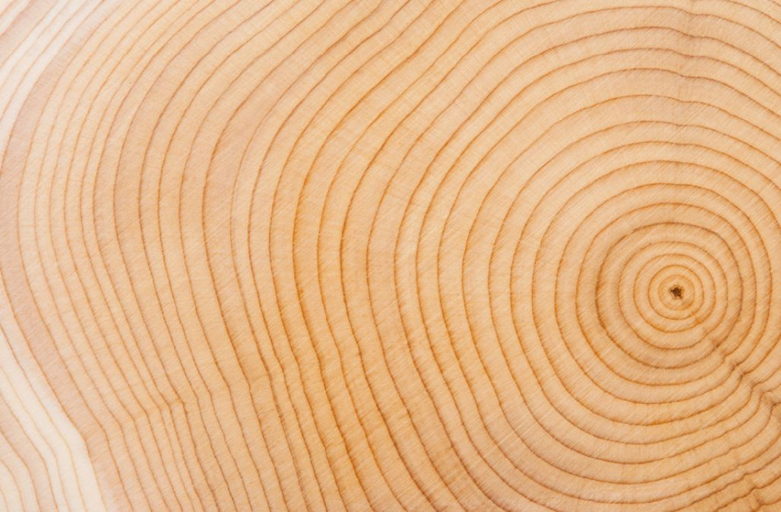 Drewno we wnętrzach, na elewacjach i tarasach - dlaczego warto?