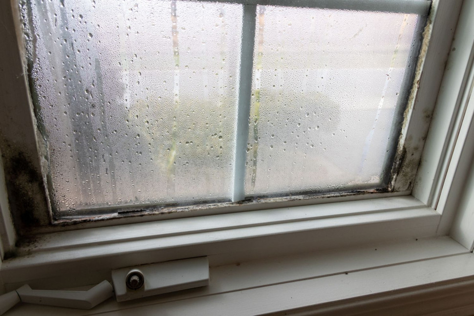 Zawilgocone okna