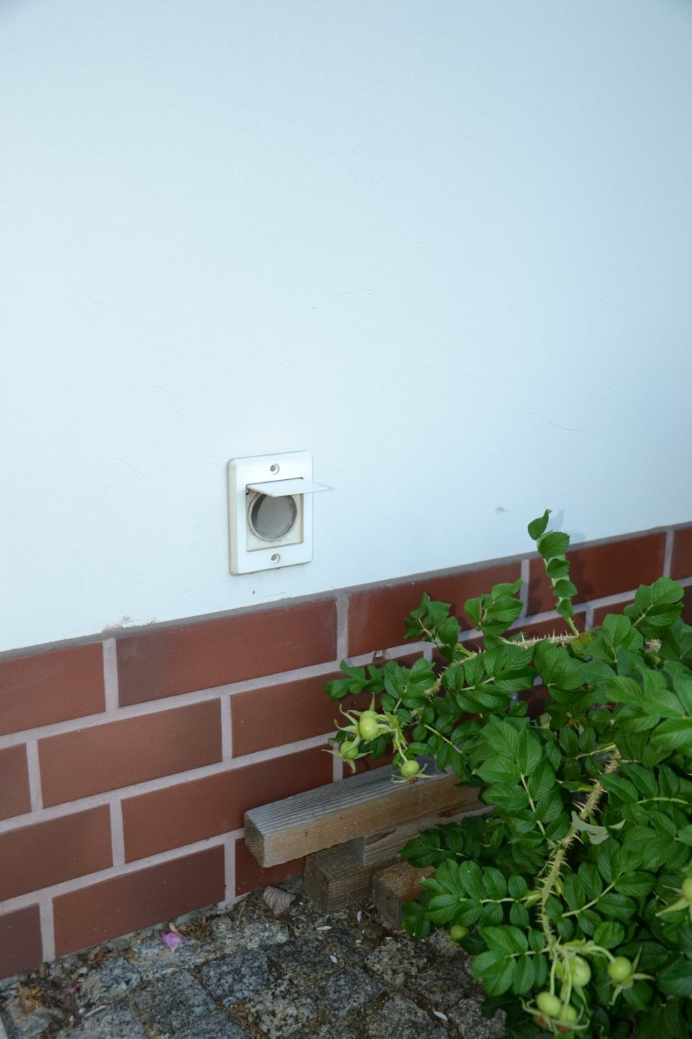 Wyrzutnia powietrza znajduje się z tyłu budynku, na prawidłowej wysokości